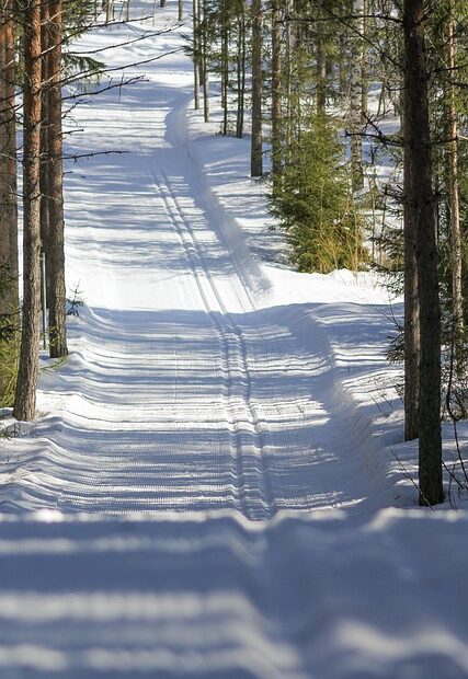 Ski 4818587 640