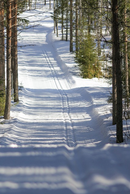 Ski 4818587 640