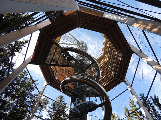 Trail Treetops 202745 640
