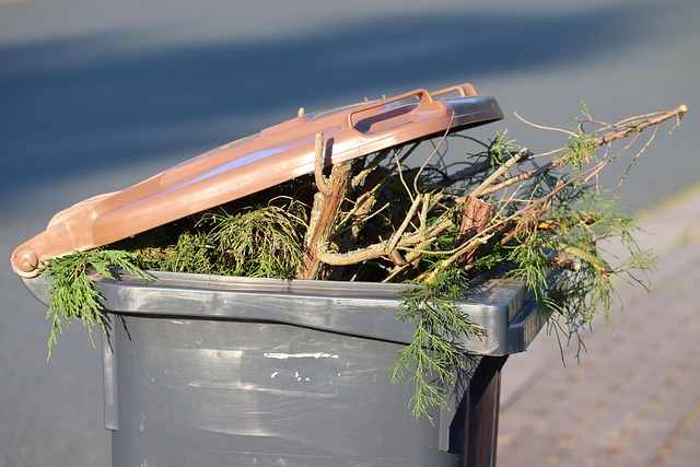 Dustbin 5398348 640