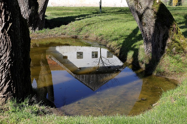 Biotope 5014893 640