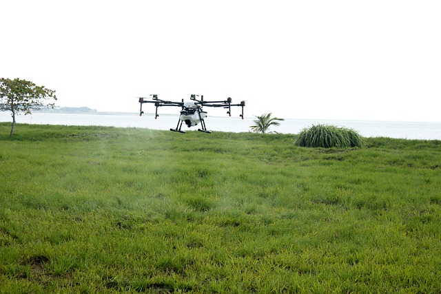Drone Asperjando 2734242 640