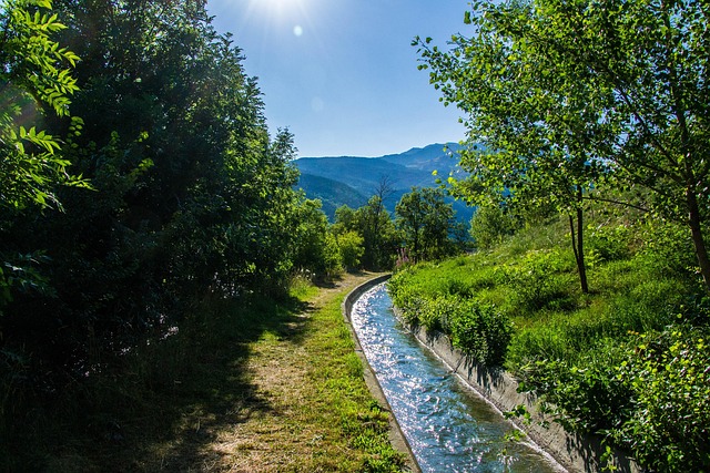 Nature 1749665 640