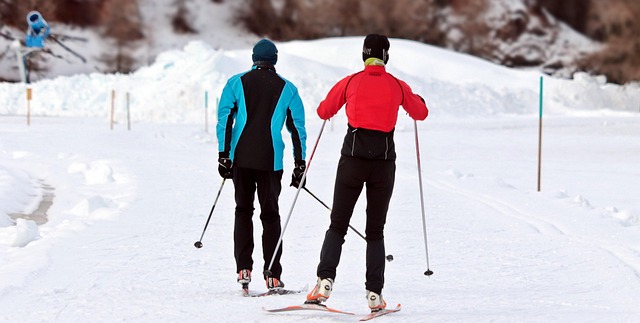 Cross Country Skiing 3020751 640